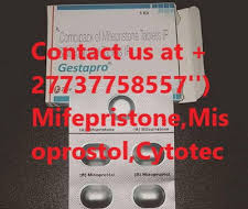 Annexe 2024-09-16-015133.342071download-10-1-1-225x190.jpg